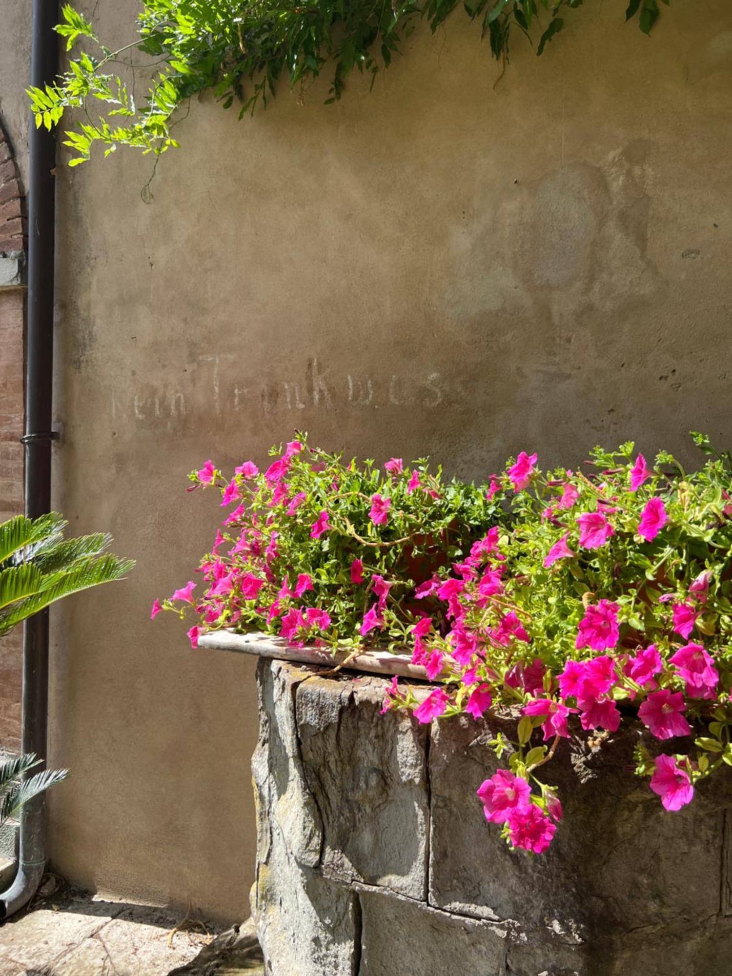 Casa Barattini Panzió Zocchetta Kültér fotó